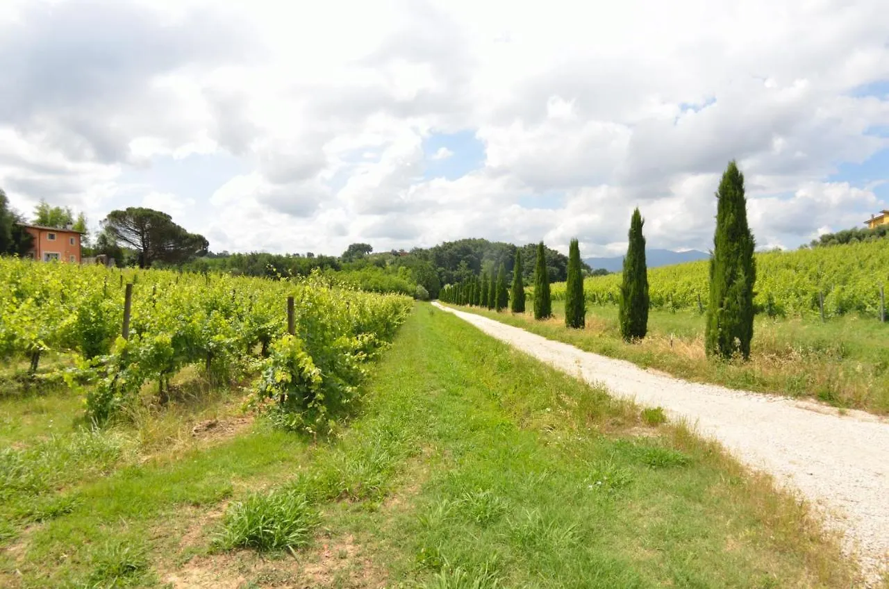 Il Sogno Tra I Vigneti Villa Montecarlo Italy